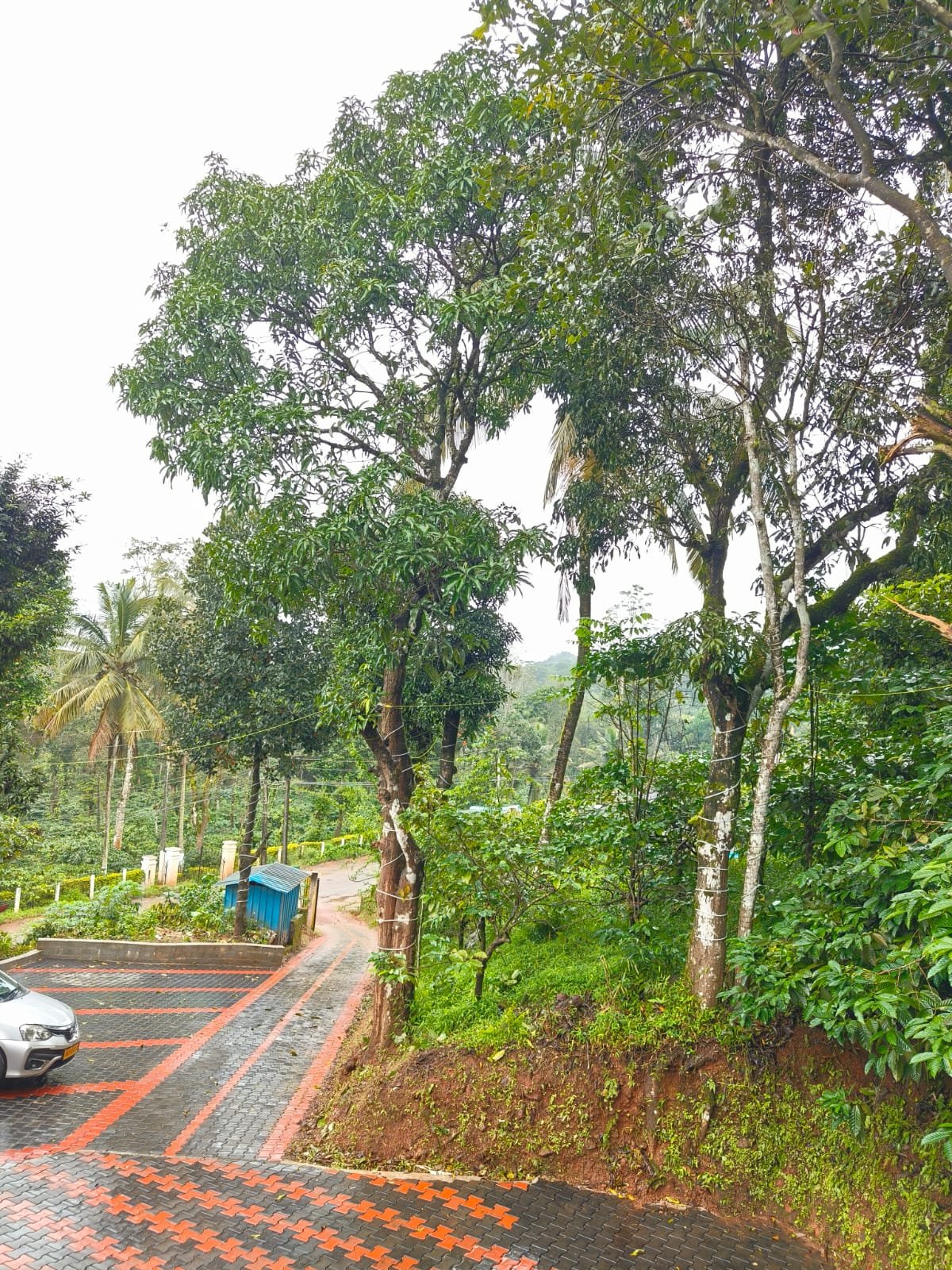 Dream Estate Stay Coorg
